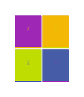 Тетрадь 48л. кл. «Monocolor.Chat» BG